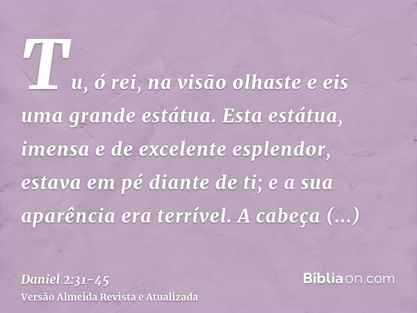 Tu, ó rei, na visão olhaste e eis uma grande estátua. Esta estátua, imensa e de excelente esplendor, estava em pé diante de ti; e a sua aparência era terrível.A