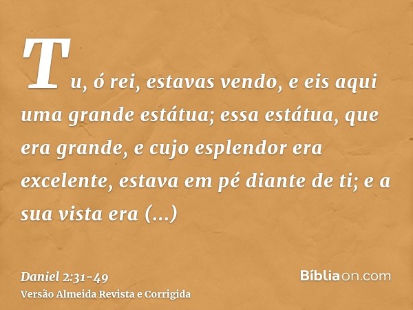 Tu, ó rei, estavas vendo, e eis aqui uma grande estátua; essa estátua, que era grande, e cujo esplendor era excelente, estava em pé diante de ti; e a sua vista 