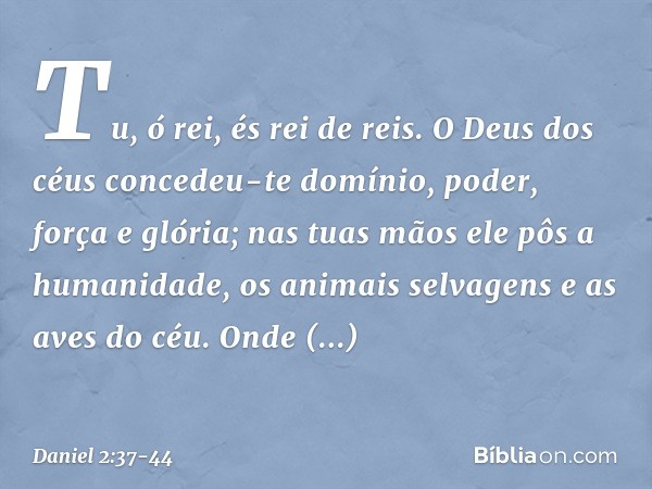 Tu, ó rei, és rei de reis. O Deus dos céus concedeu-te domínio, poder, força e glória; nas tuas mãos ele pôs a humanida­de, os animais selvagens e as aves do cé