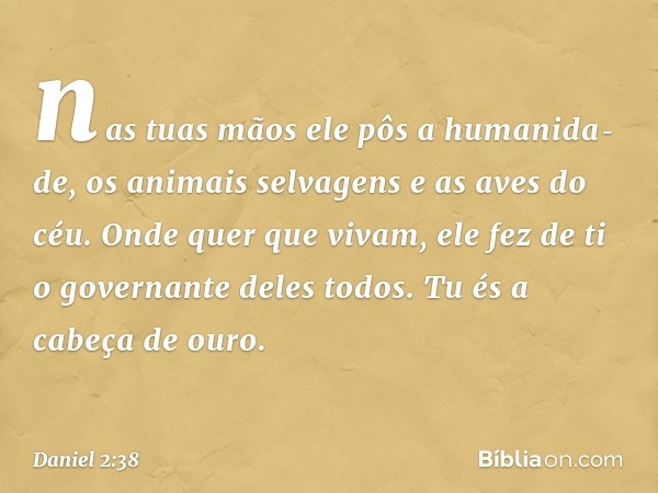 nas tuas mãos ele pôs a humanida­de, os animais selvagens e as aves do céu. Onde quer que vivam, ele fez de ti o governante deles todos. Tu és a cabeça de ouro.