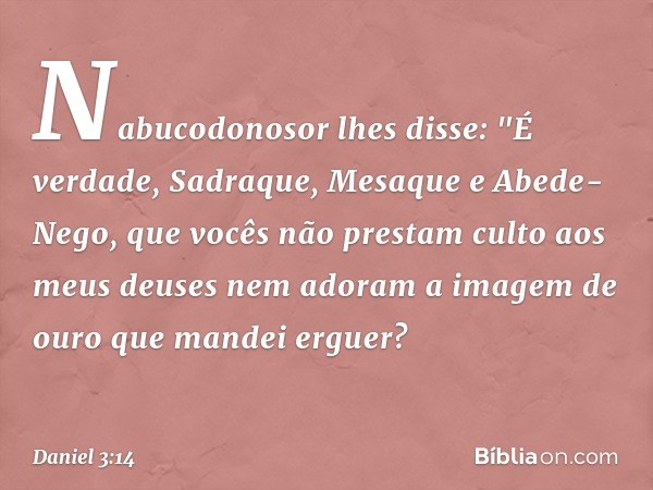 Na­bucodonosor lhes disse: "É verdade, Sadraque, Mesaque e Abede-Nego, que vocês não prestam culto aos meus deuses nem adoram a imagem de ouro que mandei erguer