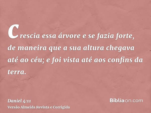 crescia essa árvore e se fazia forte, de maneira que a sua altura chegava até ao céu; e foi vista até aos confins da terra.