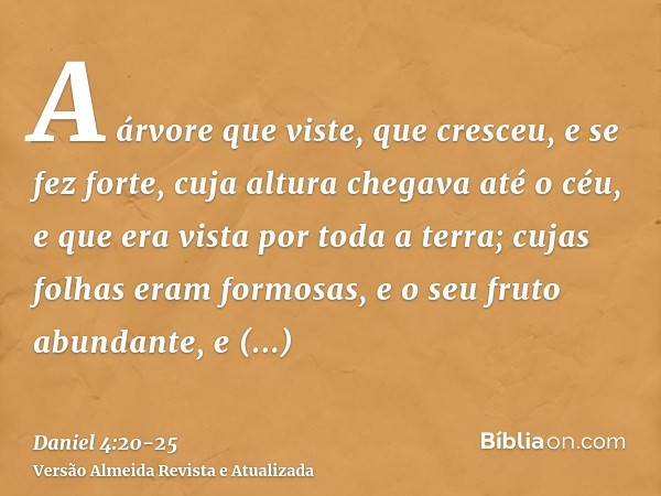 A árvore que viste, que cresceu, e se fez forte, cuja altura chegava até o céu, e que era vista por toda a terra;cujas folhas eram formosas, e o seu fruto abund