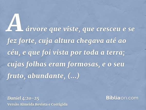 A árvore que viste, que cresceu e se fez forte, cuja altura chegava até ao céu, e que foi vista por toda a terra;cujas folhas eram formosas, e o seu fruto, abun