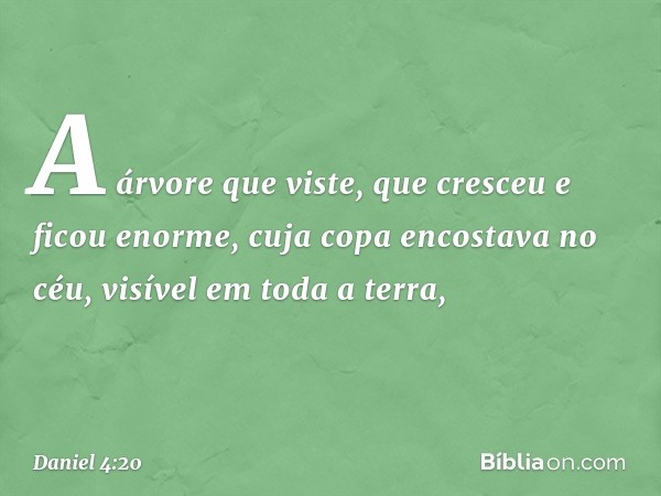 A árvore que viste, que cresceu e ficou enor­me, cuja copa encostava no céu, visível em toda a terra, -- Daniel 4:20