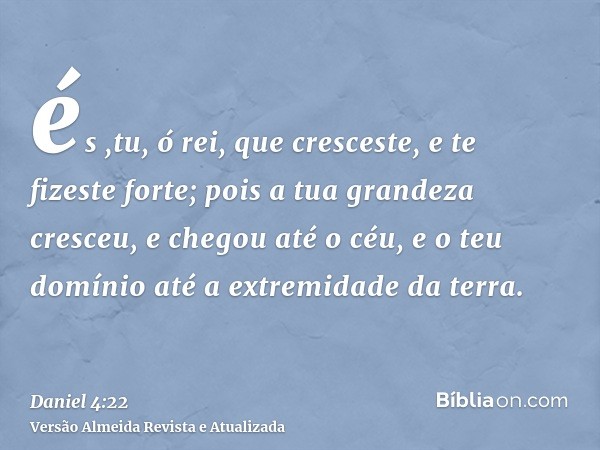 és ,tu, ó rei, que cresceste, e te fizeste forte; pois a tua grandeza cresceu, e chegou até o céu, e o teu domínio até a extremidade da terra.