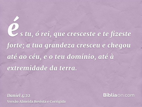 és tu, ó rei, que cresceste e te fizeste forte; a tua grandeza cresceu e chegou até ao céu, e o teu domínio, até à extremidade da terra.