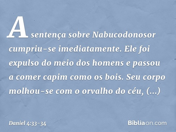 A sentença sobre Nabucodonosor cumpriu-se imediatamente. Ele foi expulso do meio dos homens e passou a comer capim como os bois. Seu corpo molhou-se com o orval