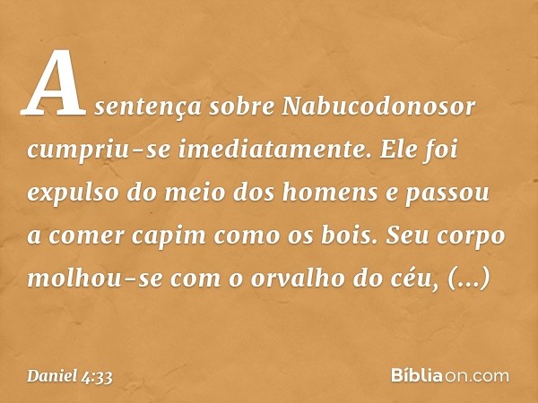 A sentença sobre Nabucodonosor cumpriu-se imediatamente. Ele foi expulso do meio dos homens e passou a comer capim como os bois. Seu corpo molhou-se com o orval