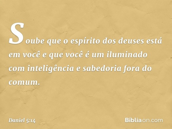 Soube que o espírito dos deuses está em você e que você é um iluminado com inteligência e sabedoria fora do comum. -- Daniel 5:14