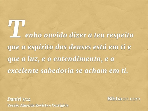 Tenho ouvido dizer a teu respeito que o espírito dos deuses está em ti e que a luz, e o entendimento, e a excelente sabedoria se acham em ti.