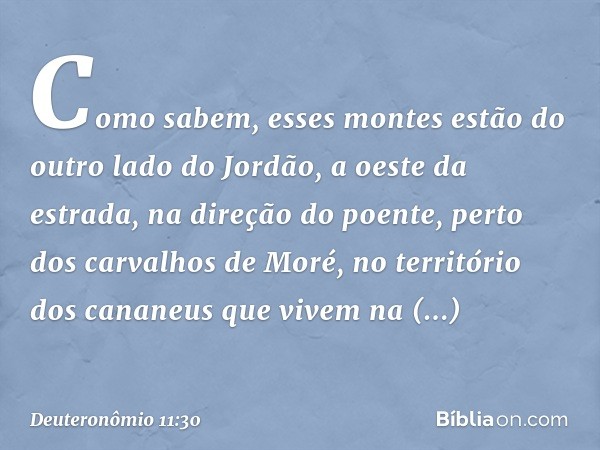 Como sabem, esses montes estão do outro lado do Jordão, a oeste da estrada, na direção do poente, perto dos carvalhos de Moré, no território dos cananeus que vi