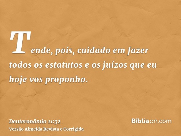 Tende, pois, cuidado em fazer todos os estatutos e os juízos que eu hoje vos proponho.
