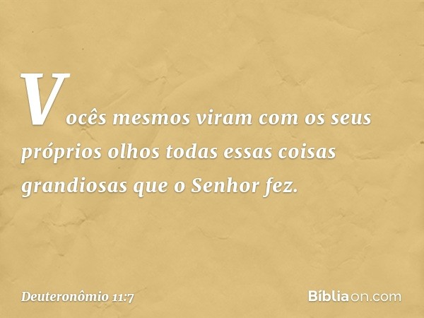 Vocês mesmos viram com os seus próprios olhos todas essas coisas grandiosas que o Senhor fez. -- Deuteronômio 11:7