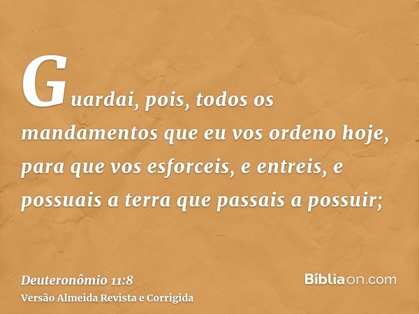 Guardai, pois, todos os mandamentos que eu vos ordeno hoje, para que vos esforceis, e entreis, e possuais a terra que passais a possuir;