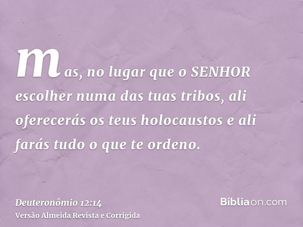 mas, no lugar que o SENHOR escolher numa das tuas tribos, ali oferecerás os teus holocaustos e ali farás tudo o que te ordeno.
