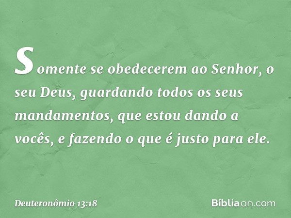 somente se obedecerem ao Senhor, o seu Deus, guardando todos os seus mandamentos, que estou dando a vocês, e fazendo o que é justo para ele. -- Deuteronômio 13: