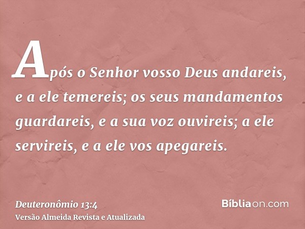 Após o Senhor vosso Deus andareis, e a ele temereis; os seus mandamentos guardareis, e a sua voz ouvireis; a ele servireis, e a ele vos apegareis.