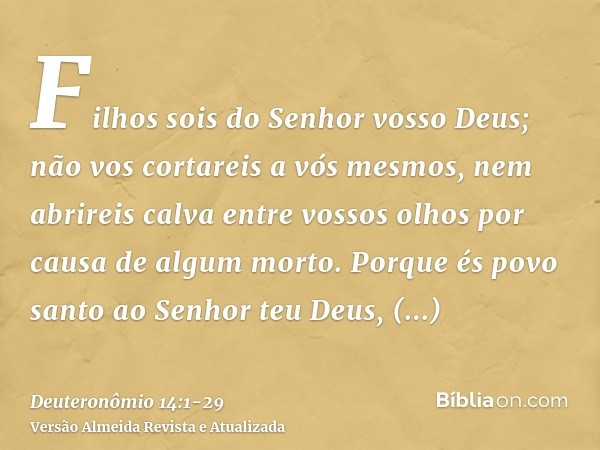 Filhos sois do Senhor vosso Deus; não vos cortareis a vós mesmos, nem abrireis calva entre vossos olhos por causa de algum morto.Porque és povo santo ao Senhor 