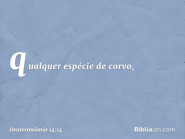 qualquer espécie de corvo, -- Deuteronômio 14:14