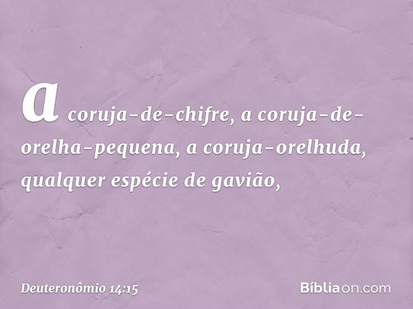 a coruja-de-chifre, a coruja-de-orelha-pequena, a coruja-orelhuda, qualquer espécie de gavião, -- Deuteronômio 14:15