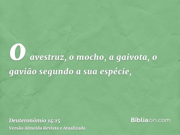 o avestruz, o mocho, a gaivota, o gavião segundo a sua espécie,