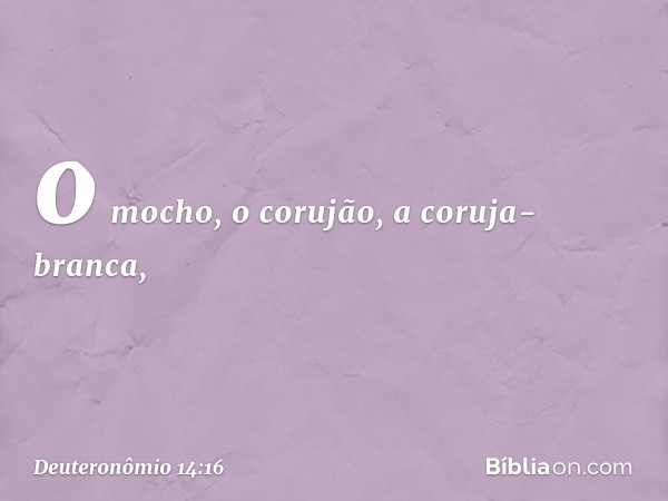 o mocho, o corujão, a coruja-branca, -- Deuteronômio 14:16