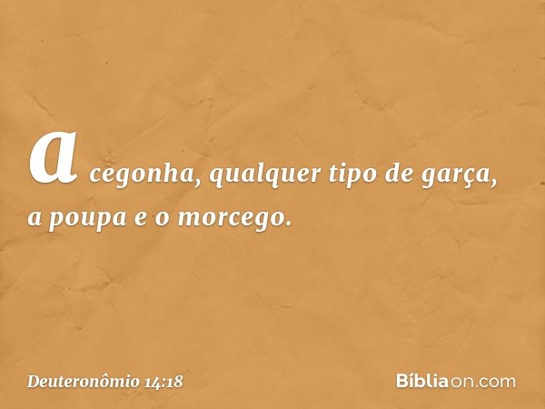 a cegonha, qualquer tipo de garça, a poupa e o morcego. -- Deuteronômio 14:18