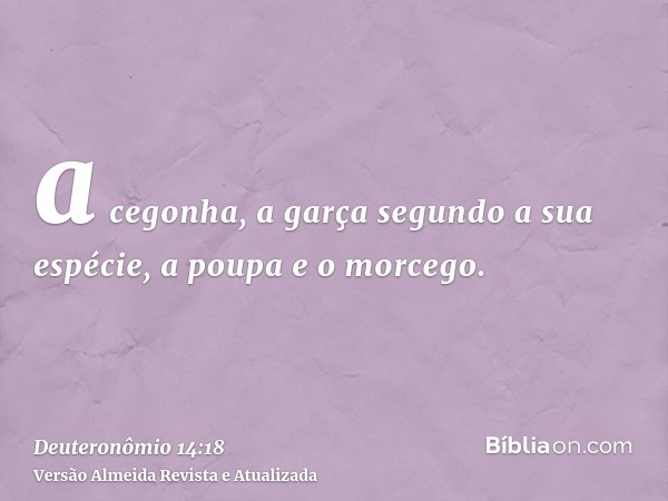 a cegonha, a garça segundo a sua espécie, a poupa e o morcego.