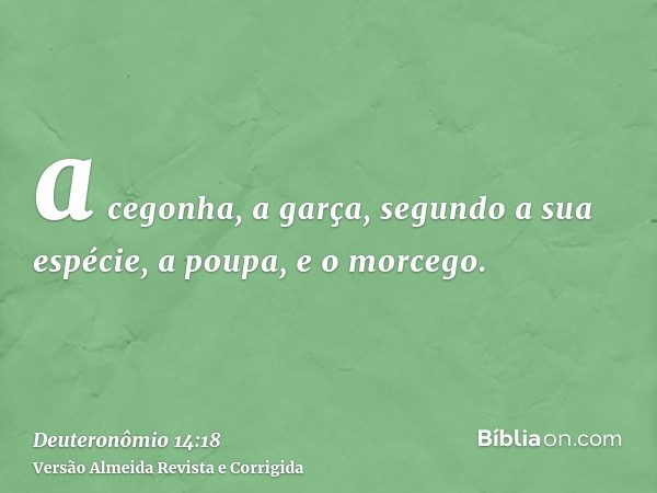 a cegonha, a garça, segundo a sua espécie, a poupa, e o morcego.