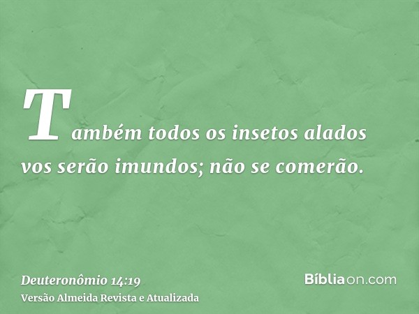 Também todos os insetos alados vos serão imundos; não se comerão.