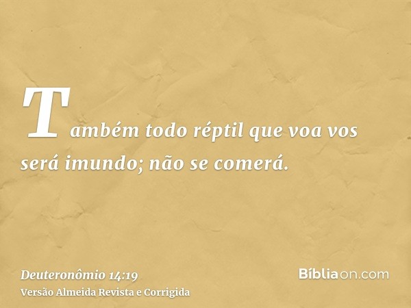Também todo réptil que voa vos será imundo; não se comerá.