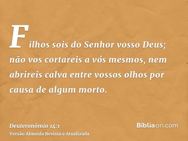 Filhos sois do Senhor vosso Deus; não vos cortareis a vós mesmos, nem abrireis calva entre vossos olhos por causa de algum morto.