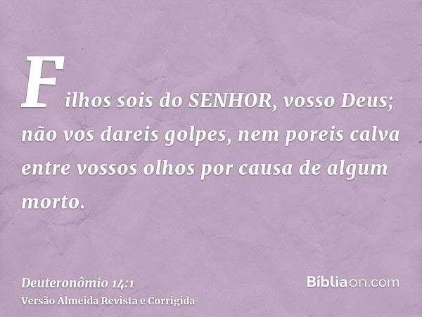 Filhos sois do SENHOR, vosso Deus; não vos dareis golpes, nem poreis calva entre vossos olhos por causa de algum morto.
