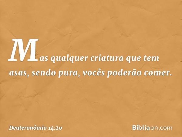 Mas qualquer criatura que tem asas, sendo pura, vocês poderão comer. -- Deuteronômio 14:20