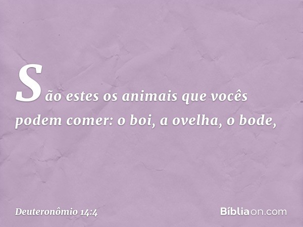 São estes os animais que vocês podem comer: o boi, a ovelha, o bode, -- Deuteronômio 14:4