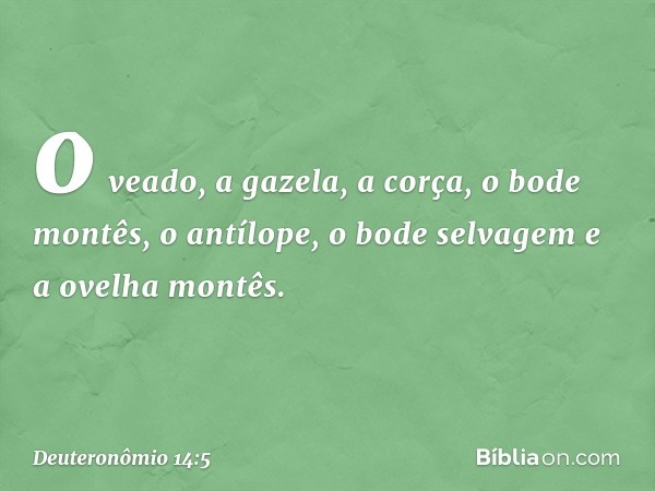 o veado, a gazela, a corça, o bode montês, o antílope, o bode selvagem e a ovelha montês. -- Deuteronômio 14:5