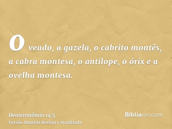 o veado, a gazela, o cabrito montês, a cabra montesa, o antílope, o órix e a ovelha montesa.