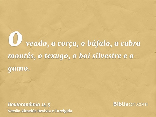 o veado, a corça, o búfalo, a cabra montês, o texugo, o boi silvestre e o gamo.