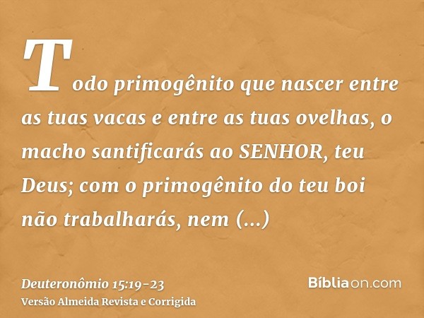 Todo primogênito que nascer entre as tuas vacas e entre as tuas ovelhas, o macho santificarás ao SENHOR, teu Deus; com o primogênito do teu boi não trabalharás,