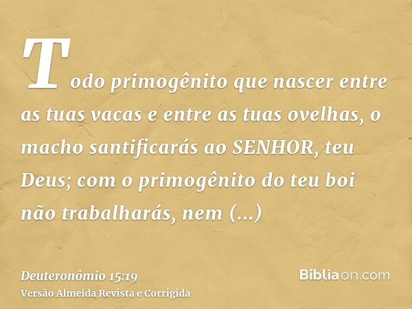 Todo primogênito que nascer entre as tuas vacas e entre as tuas ovelhas, o macho santificarás ao SENHOR, teu Deus; com o primogênito do teu boi não trabalharás,