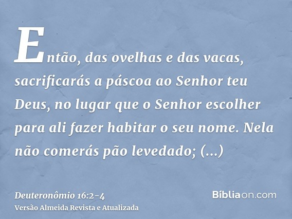 Então, das ovelhas e das vacas, sacrificarás a páscoa ao Senhor teu Deus, no lugar que o Senhor escolher para ali fazer habitar o seu nome.Nela não comerás pão