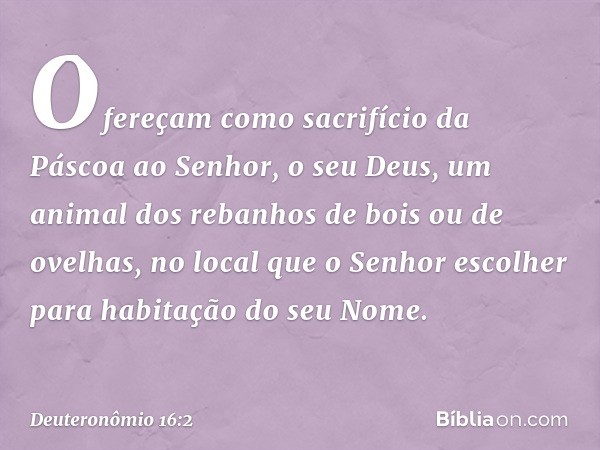 Ofereçam como sacrifício da Páscoa ao Senhor, o seu Deus, um animal dos rebanhos de bois ou de ovelhas, no local que o Senhor escolher para habitação do seu Nom