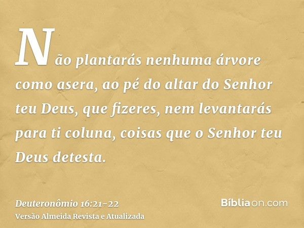 Não plantarás nenhuma árvore como asera, ao pé do altar do Senhor teu Deus, que fizeres,nem levantarás para ti coluna, coisas que o Senhor teu Deus detesta.