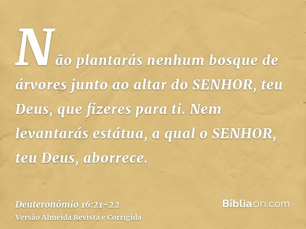 Não plantarás nenhum bosque de árvores junto ao altar do SENHOR, teu Deus, que fizeres para ti.Nem levantarás estátua, a qual o SENHOR, teu Deus, aborrece.