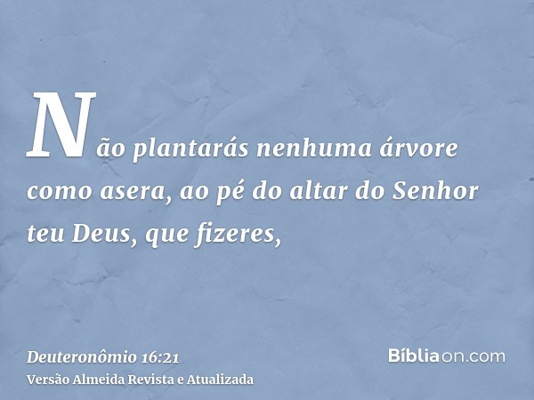 Não plantarás nenhuma árvore como asera, ao pé do altar do Senhor teu Deus, que fizeres,