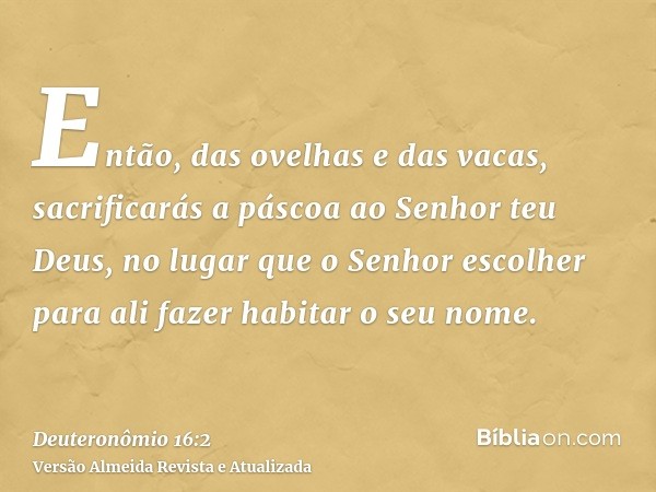 Então, das ovelhas e das vacas, sacrificarás a páscoa ao Senhor teu Deus, no lugar que o Senhor escolher para ali fazer habitar o seu nome.