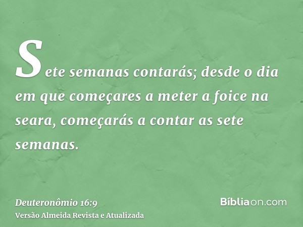 Sete semanas contarás; desde o dia em que começares a meter a foice na seara, começarás a contar as sete semanas.