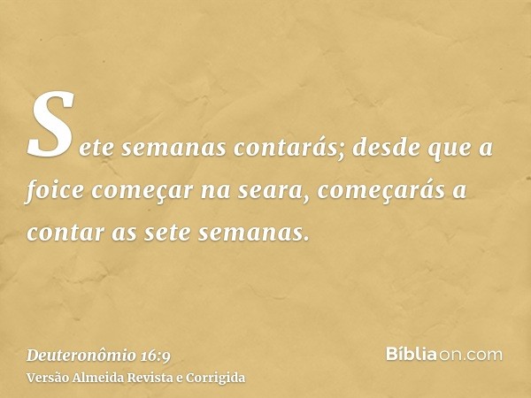 Sete semanas contarás; desde que a foice começar na seara, começarás a contar as sete semanas.