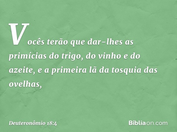 Vocês terão que dar-lhes as primícias do trigo, do vinho e do azeite, e a primeira lã da tosquia das ovelhas, -- Deuteronômio 18:4